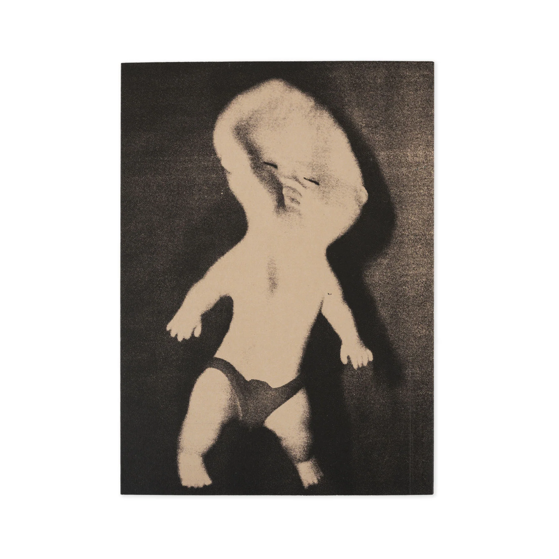 Libro - Everything is normal - Image 5